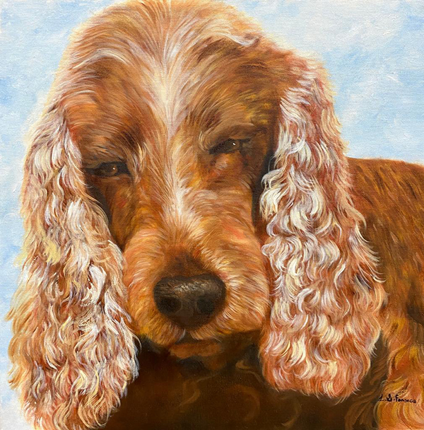 Pet - 50 x 50 - OST 
